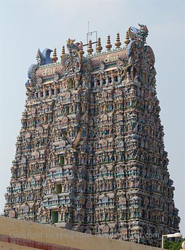 Meenakshi Temple, Madurai,_DSC_8068_H600